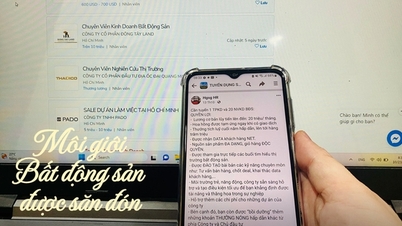 Môi giới bất động sản bất ngờ được săn đón