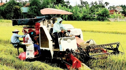 투아티엔후에: 스마트 농촌 서비스 개발 촉진