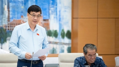 부옹 탄 비엣 씨의 '가짜 학자, 진짜 학위' 사건으로 여론이 들끓고 있다.