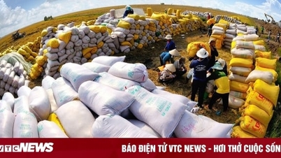 Làm gì để gạo Việt luôn thắng thế?