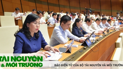 Cần có quy định để Hợp tác xã nông nghiệp tích tụ, tập trung đất đai