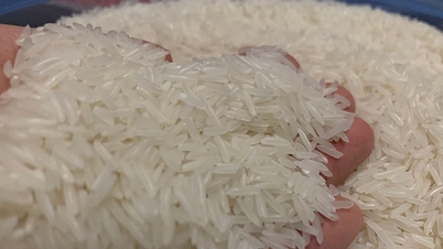 Vượt xa loạt đối thủ cạnh tranh, ‘hạt ngọc’ Việt Nam có giá đắt đỏ nhất thế giới