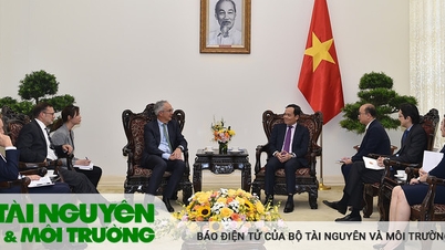 Phó Thủ tướng Trần Lưu Quang tiếp Đặc phái viên của Chính phủ Australia