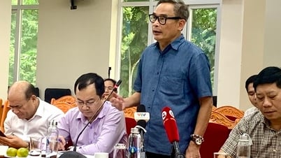 Việt Nam xuất khẩu 8 triệu tấn gạo, trong nước vẫn không lo thiếu