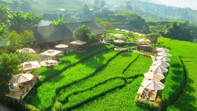 Hanoi tourists sit together in the middle of terraced fields in Sapa, sipping coffee