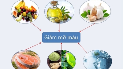 Ăn gì để giảm mỡ xấu trong máu?