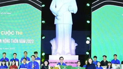 កសិករវ័យក្មេងឆ្នើមចំនួន 42 នាក់ទទួលបានពានរង្វាន់ Luong Dinh Cua ឆ្នាំ 2023