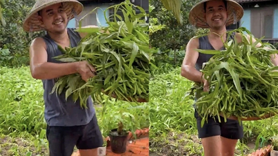 Western guy grows vegetables and gives them away for free to people