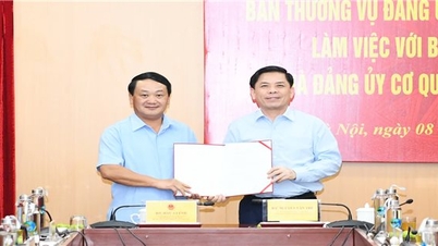 The Standing Committee of the Party Committee of the Central Agencies Bloc works with the Executive Committee and the Party Committee of the Ethnic Committee