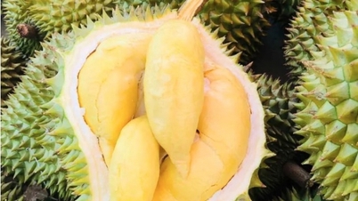 បង្វិលនិងកាត់បន្ថយ; ធុរេនថៃ កើនឡើង ១០៦.០០០ដុង/គីឡូក្រាម