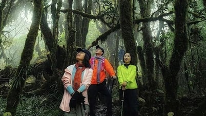 Young people form a group to trek in the forest, re-energize