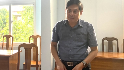 គណៈប្រតិភូត្រួតពិនិត្យរបស់ក្រុមប្រឹក្សាប្រជាជនខេត្ត ធ្វើការនៅមន្ទីរធនធានធម្មជាតិ និងបរិស្ថាន។