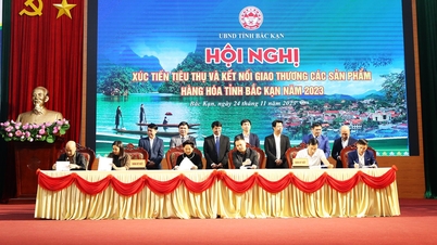 Hanoi: Support to promote and connect supply and demand of goods in provinces and cities at the end of 2023