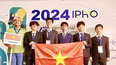 5 Vietnamese students won medals at the 2024 International Physics Olympiad