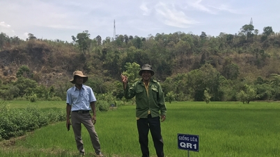Triển khai các mô hình chuyển giao tiến bộ kỹ thuật cho người dân học tập | Báo Gia Lai điện tử