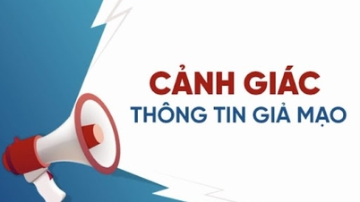 Forging decisions of the Department of Health of Long An and Ben Tre provinces to commit fraud