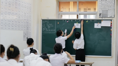 Nhật thu hút hơn 50% lao động xuất khẩu của Việt Nam