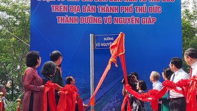 TP.HCM đổi tên 8km Xa lộ Hà Nội thành đường Võ Nguyên Giáp