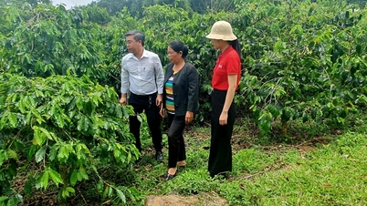 Kon Tum: Trên 80% dư nợ được đầu tư vào khu vực “tam nông”