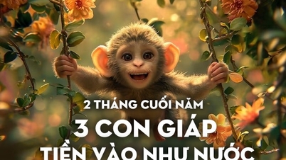 ២​ខែ​ចុង​ឆ្នាំ​នេះ ទេវតា​ទ្រព្យ ៣​ឆ្នាំ​នឹង​ហៅ​លុយ​ចូល​ដូច​ទឹក​ជំនន់។