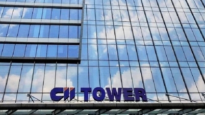 CII's interest expense increased by 30%, real estate revenue decreased by half