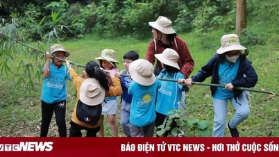 Nở rộ các hình thức trại hè, phụ huynh đau đầu lựa chọn