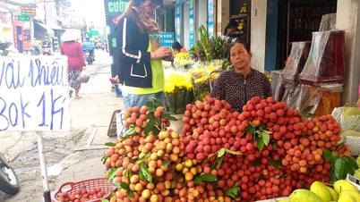 Vải thiều miền Bắc ồ ạt vào Nam