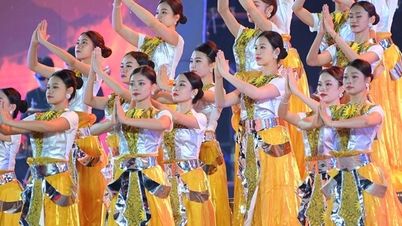 Enjoy the opening night of the Hokkaido Ha Long Festival 2023