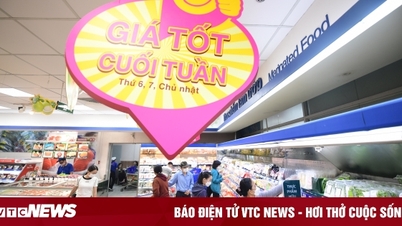 Saigon Co.op chính thức bước vào mùa kinh doanh Tết Ất Tỵ 2025