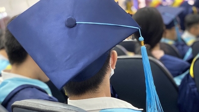 Những ngành học nào sinh viên có việc làm tốt nhất?
