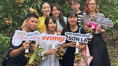 Sơn La hỗ trợ tiêu thụ nông sản trên sàn thương mại điện tử
