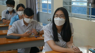 Tỷ lệ chọi lớp 10 Phổ thông Năng khiếu cao nhất 5 năm