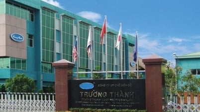 Gỗ Trường Thành (TTF) thoái toàn bộ vốn khỏi Viestones