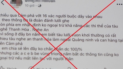 Triệu tập đối tượng tung tin sai sự thật trên mạng xã hội về tình hình thiệt hại do cơn bão số 3
