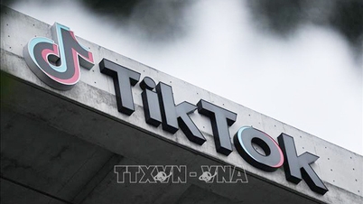 TikTok thay đổi mạnh mẽ để đáp ứng các quy định mới của EU