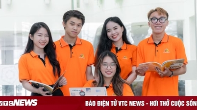 Học ngành Kinh doanh quốc tế ra trường làm gì?