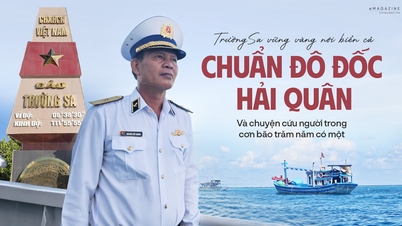 Chuẩn Đô đốc hải quân và chuyện cứu người trong cơn bão trăm năm có một