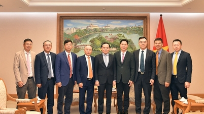 Phó Thủ tướng Trần Lưu Quang tiếp Đoàn doanh nghiệp Trung Quốc
