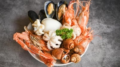 A부터 Z까지 자세한 Quy Nhon 여행 경험