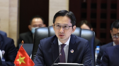 Những đóng góp của đoàn Việt Nam tại AMM 57