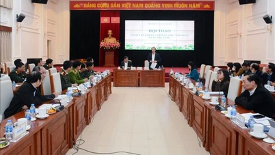 2 phương án về đối tượng áp dụng trong Luật Nhà giáo