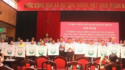 Hà Nội cấp 113 biển nhận diện cơ sở sản xuất kinh doanh thực phẩm an toàn