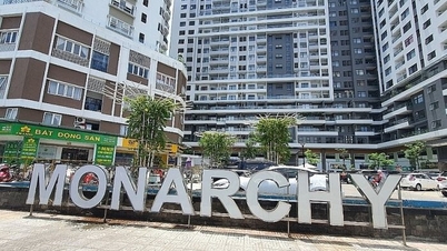 ភាគហ៊ុន Danang House (NDN) គេចពីការព្រមាន