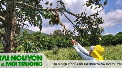 Đói nghèo đã dần lùi vào quá khứ