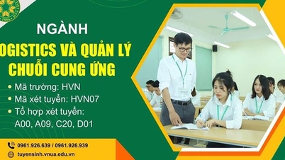 មុខវិជ្ជា "ក្តៅ" ខ្លាំង សិស្សដែលទើបតែបញ្ចប់ការសិក្សាត្រូវបានស្វែងរកដោយអាជីវកម្ម