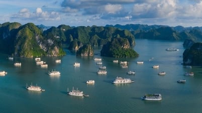 Three Vietnamese representatives among the most impressive UNESCO heritages in Southeast Asia
