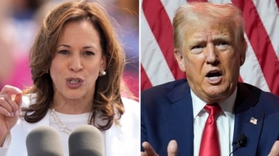 Thăm dò toàn quốc Trump - Harris trước ngày bầu cử