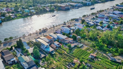 Plan zur Umsetzung der Planung der Provinz Dong Thap bis 2050