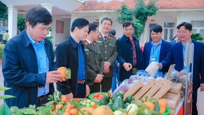634 sản phẩm OCOP hội tụ trên đất Nghệ An