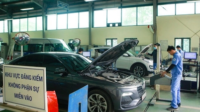 Las normas sobre bocinas de automóviles se aplicarán en la matriculación de vehículos a partir de 2025.